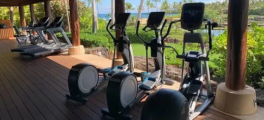 serving hawaii 2.webp