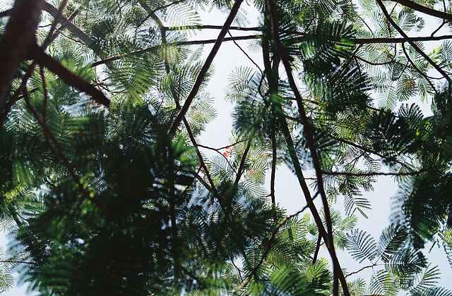 R1-00291-005A copy 2.JPG