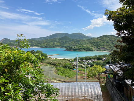 根獅子浜3