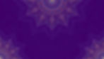 IMG_2428.jpeg