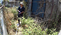 練馬区・中野区・杉並区の植木屋【ぼの植木】庭仕事の作業例「アパートの草刈り」