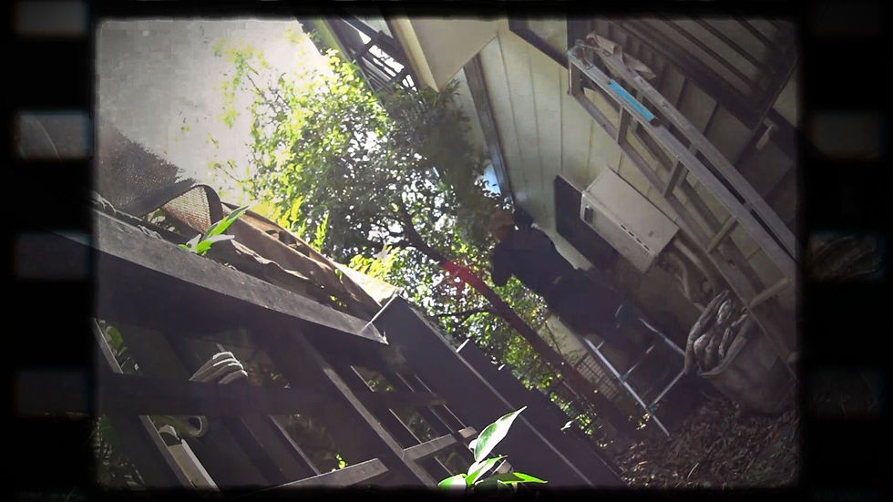 東京都練馬杉並中野の植木屋ぼの植木の庭仕事① (23)