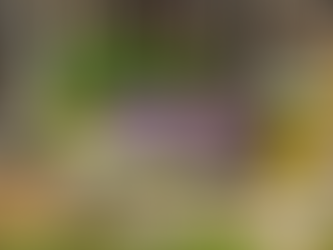 SCRIP Newsletter May 2022