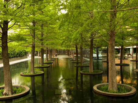 Fountain Place, Dallas: Bir Mimarlık ve Peyzaj Eseri
