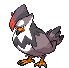 staraptor.gif