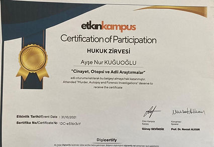 WhatsApp Görsel 2022-11-03 saat 11.55.57.jpg