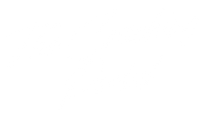 The Coaching Portal.png