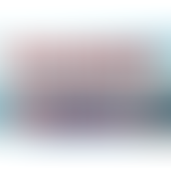 The Founder's Mindset