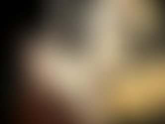 Electric or Acoustic Guitar for Beginners?