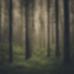 Sustainably sourced timber
