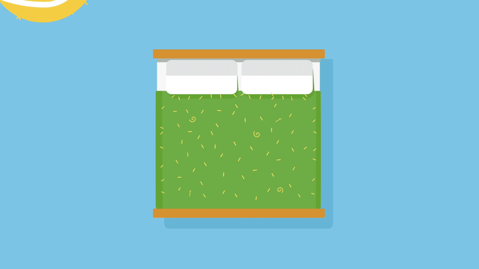 gr-bed.gif
