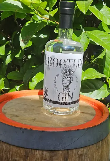 shanty-gin-scaled.jpg.webp