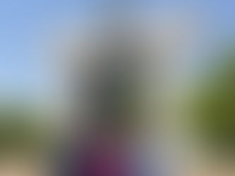 Идэр их сургуулийн дэд ерөнхийлөгч Ж.Бурмаа БНСУ-ийн Кёнсаны их сургуулиар айлчиллаа.