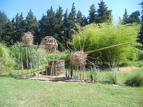 DSCN4644.JPG