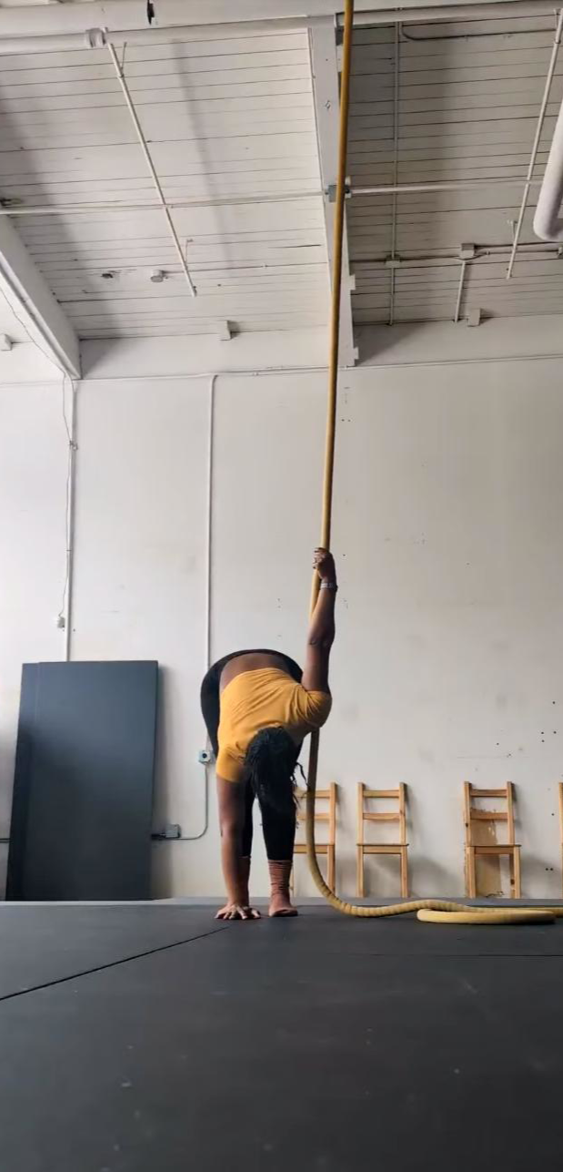 Cirque Calisthenics