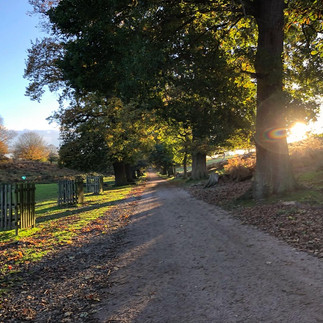Kent & Sussex: A New Found Love