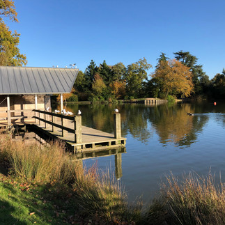 UK: 5 Reasons Why I Love... Dunorlan Park