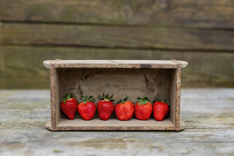 RAITH (21)_edited.jpg