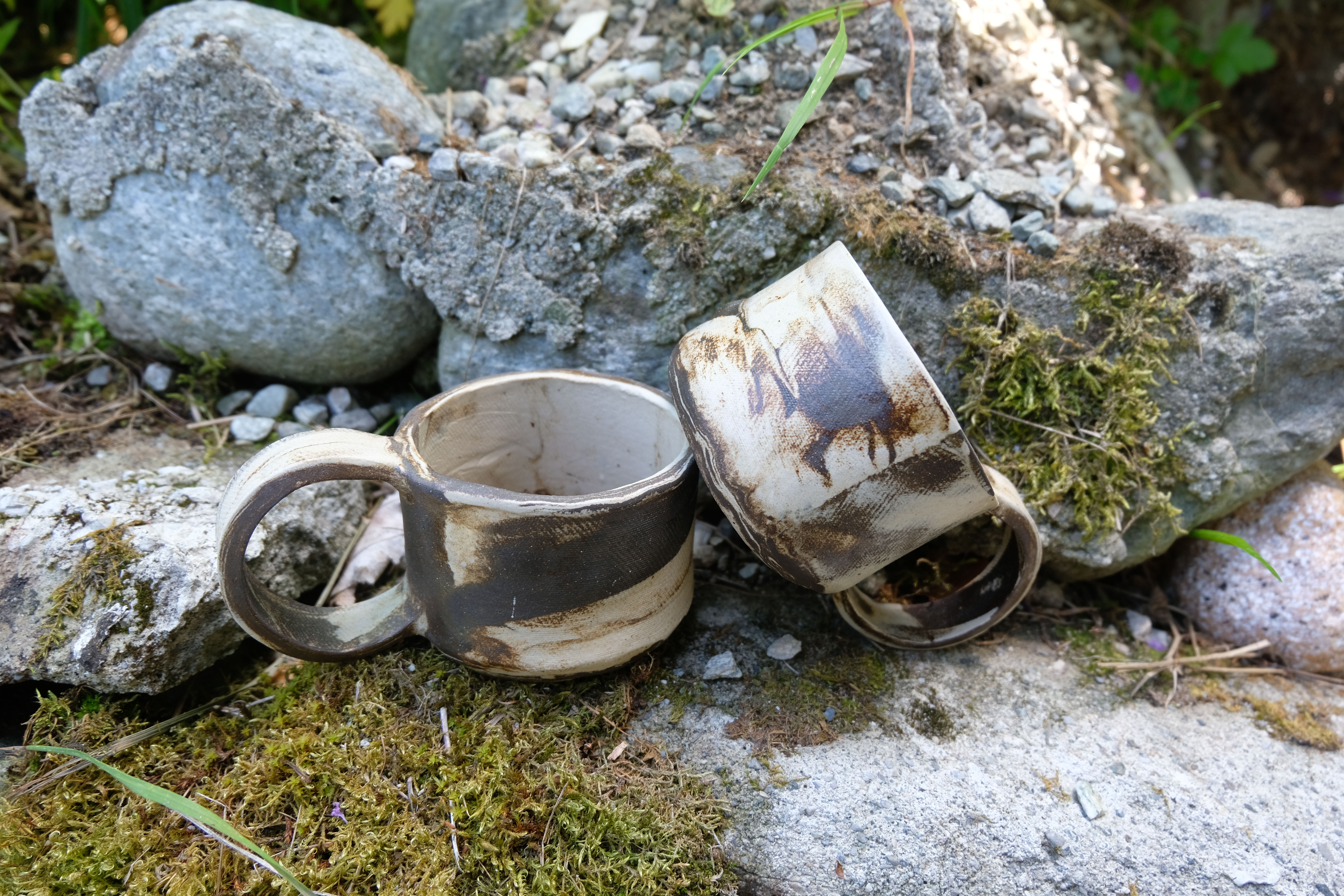 Tasses Grand Canyon