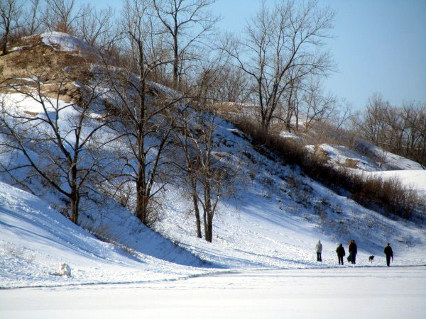 A winter scene showing a snowy hillside with bare trees and a group of four people and a dog walking on the frozen, flat area at the bottom.