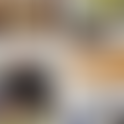 Discover PEC This May 2026: Events, Experiences, and Spring Highlights