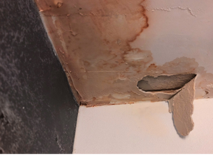 Water-damaged ceiling corner with peeling plaster, brown stains, and a hole exposing damaged material above a white wall.