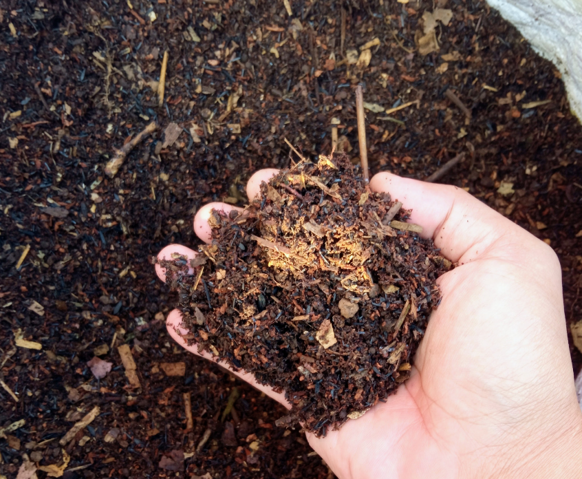 A hand holds rich, dark compost filled with organic matter, against a similar earthy background, suggesting gardening or composting.