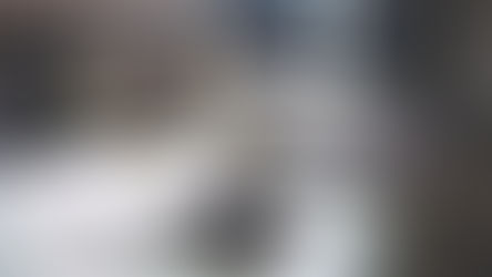 Victory! Federal Court Grants Our Petition for Emergency Preliminary Injunction for Airbnb