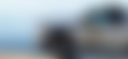 Clark County code enforcement truck