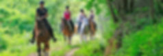 Randonnée à cheval Cevennes
