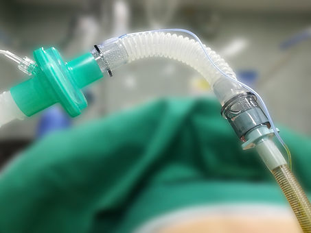 Part of the endotracheal tube to help th