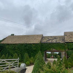 Stone Roof Clean