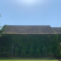 Stone Roof Clean