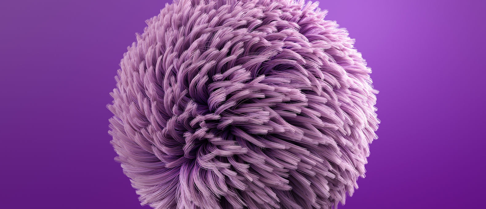 Purple Puff Ball