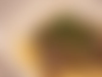 Slow cooker beef stroganoff