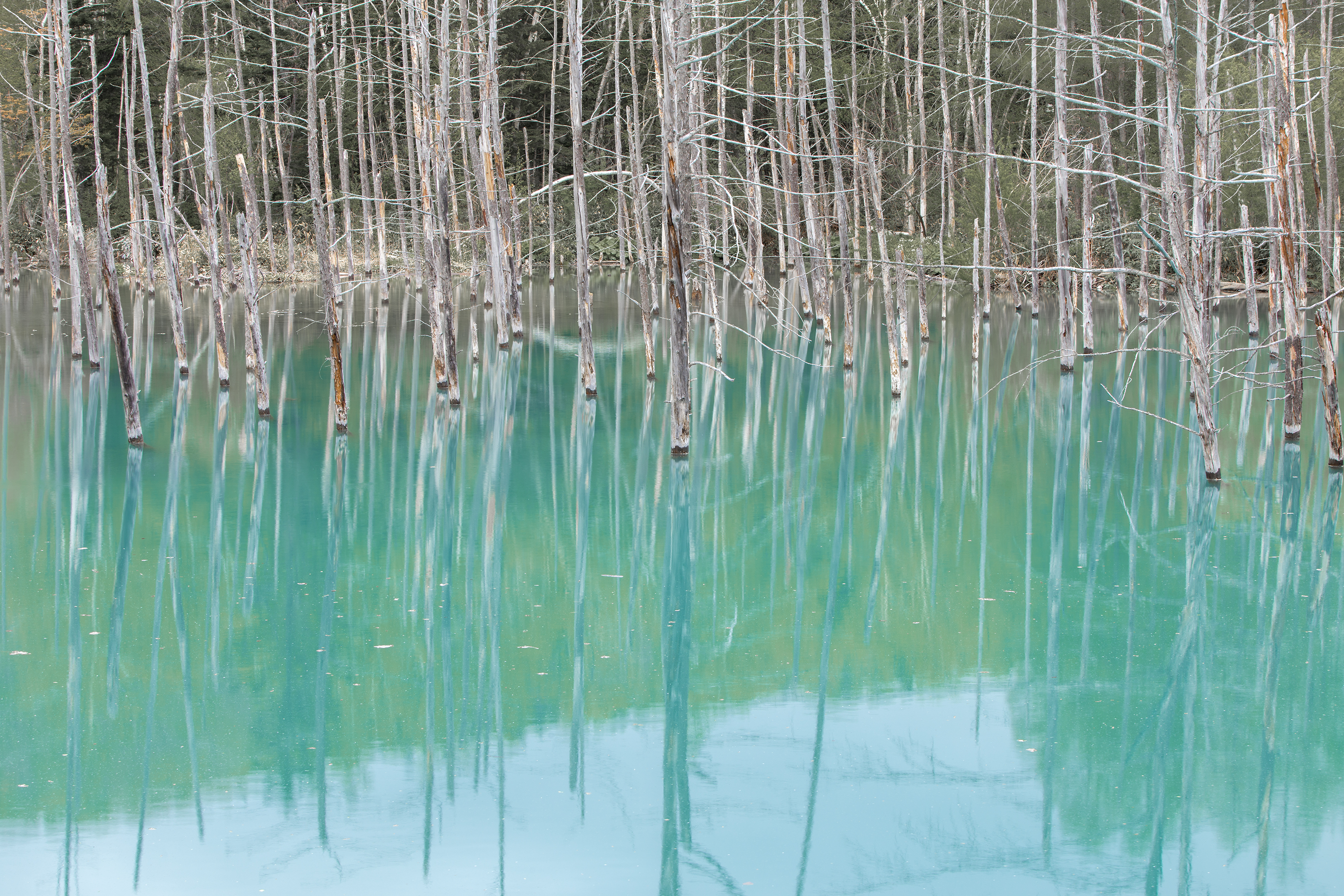 An enchanted pond