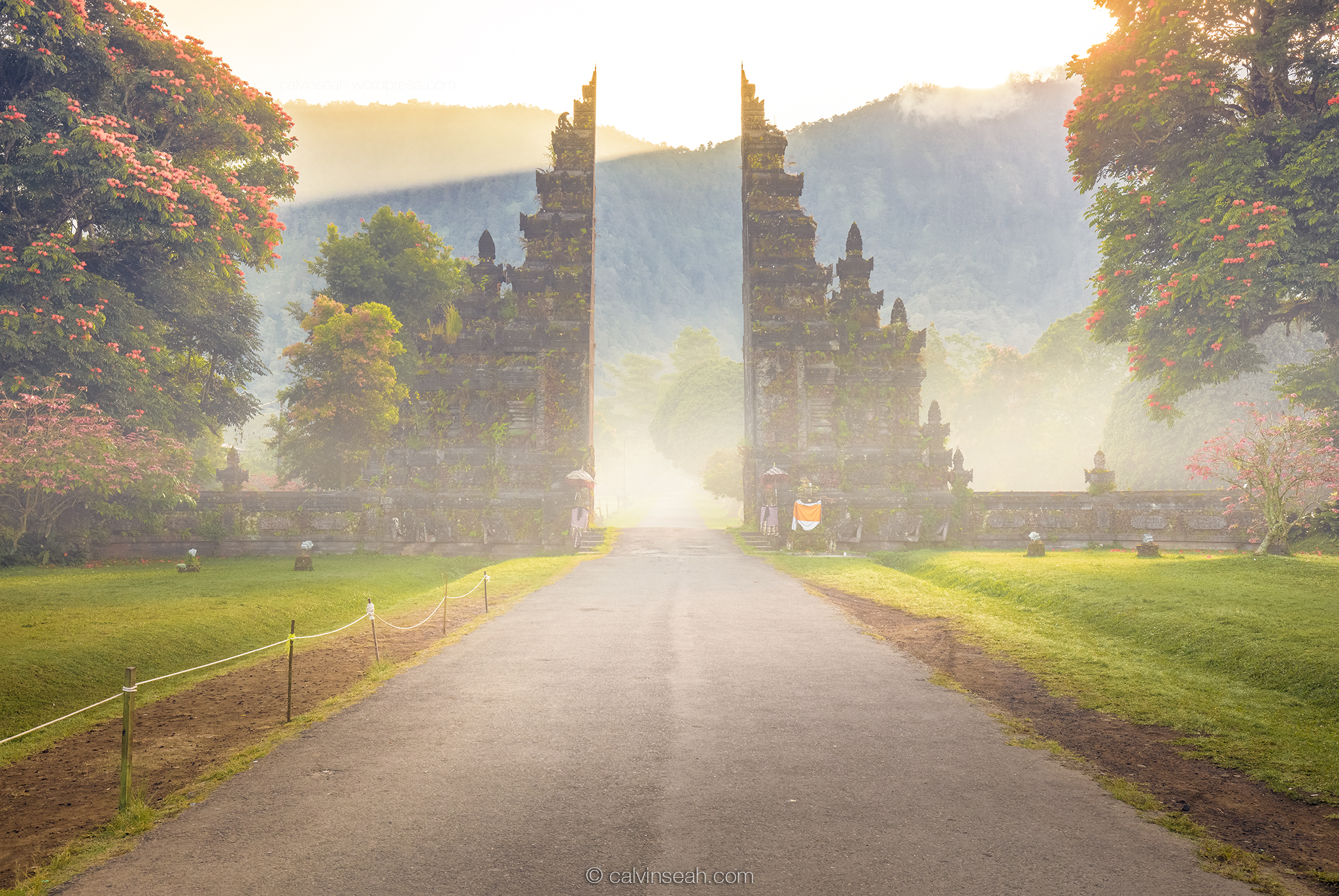 Misty morning.🌞