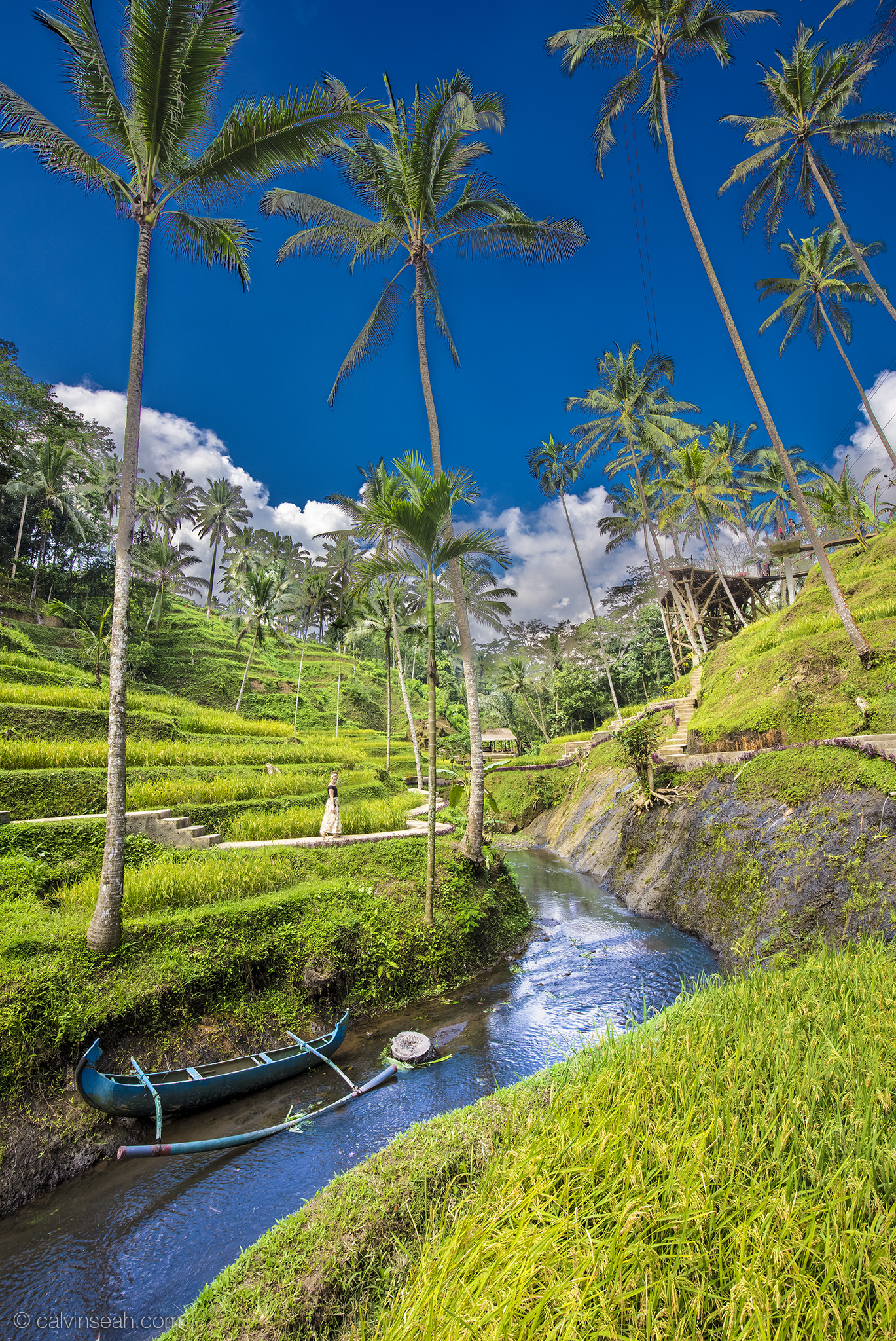 Paradise