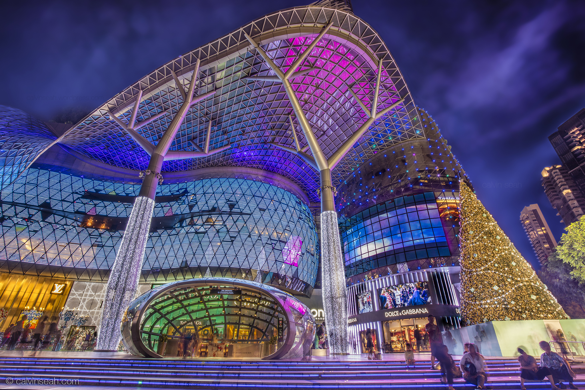 ION Orchard