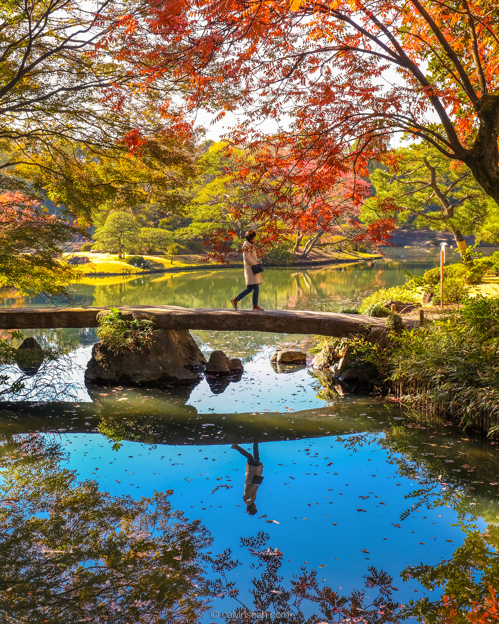 Autumn Reflection