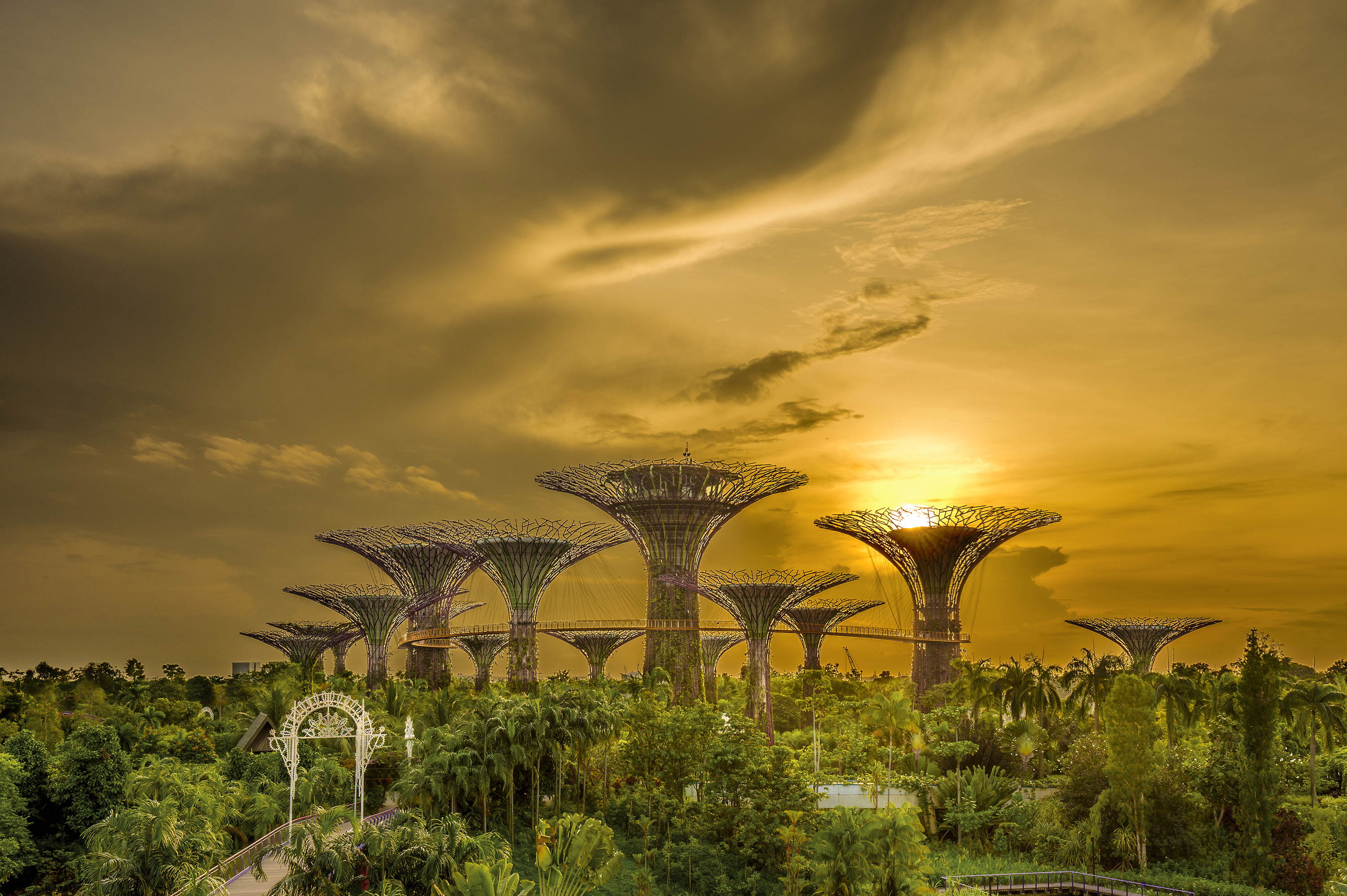 Supertrees sunrise