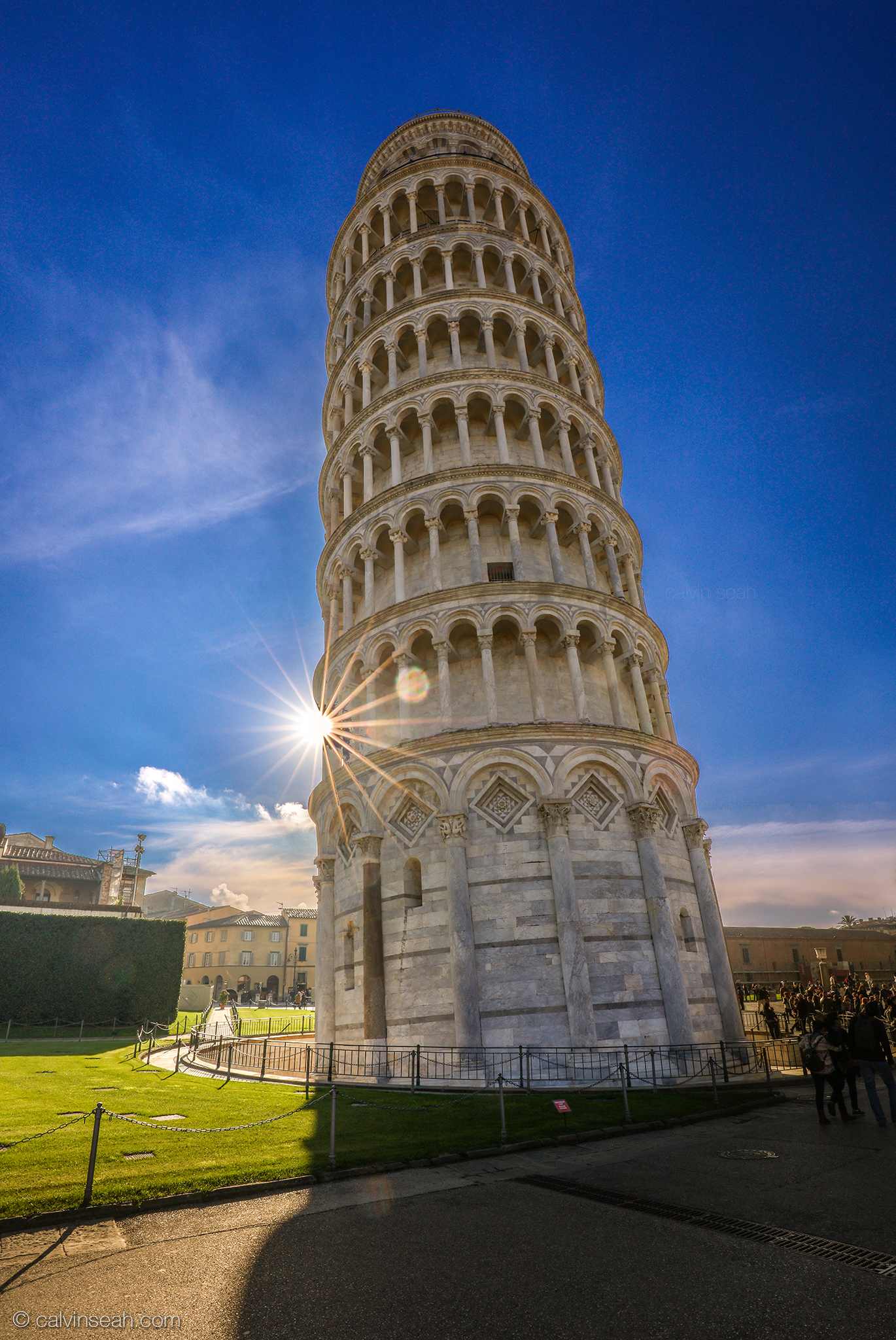 Towering beauty