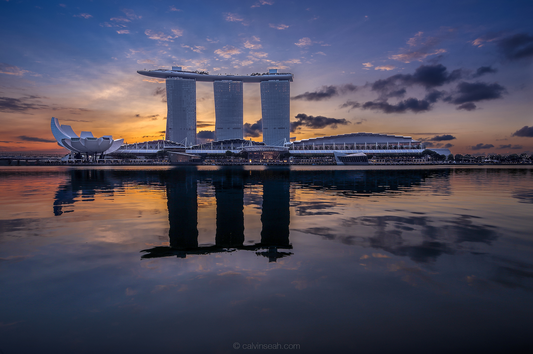 Twilight beauty