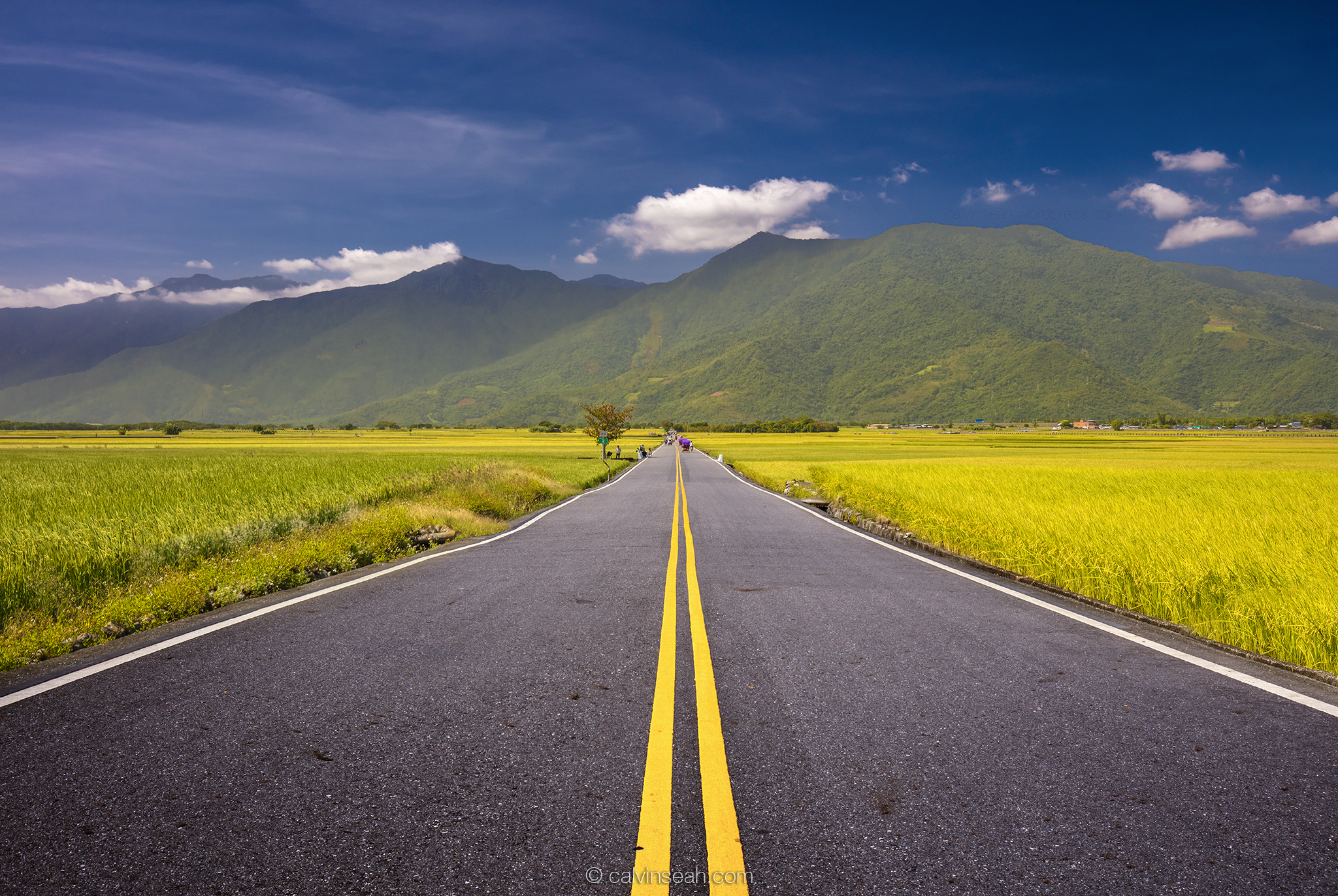 Road to paradise