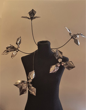 Orquídeas