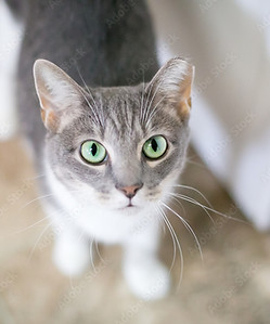 AdobeStock_204561912_Preview.jpeg