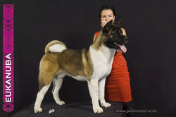 D15186-27-vito dortmund.jpg