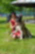 Indevor Great Pretender 1 Plaeace, Winner , BOB ,BOG, BIS.jpg