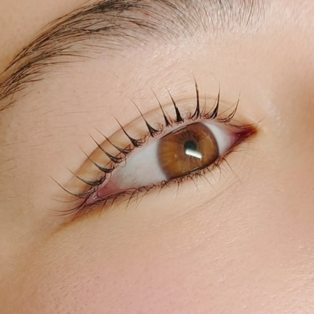 Inktastic PMU_eyelash.png