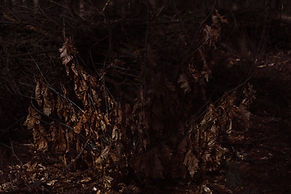 Matters of concern_A4_HM photo rag metallic_nieuw.jpg